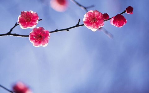 管理客户关系的软件